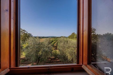 Farm hus i Sorano, Grosseto, Sorano - € 288.000 | Ref: R054810SORU-1408109 - foto 40