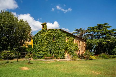 Villa a Gavorrano, Grosseto, Gavorrano - € 2.800.000 | Ref: ILV93240-1408110 - foto 12