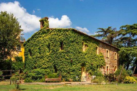 Villa a Gavorrano, Grosseto, Gavorrano - € 2.800.000 | Ref: ILV93240-1408110 - foto 47