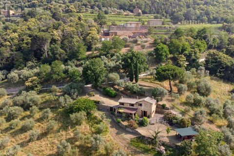 Masia a Siena, Siena, Siena - € 1.100.000 | Ref: ILV93261-1408184 - foto 19