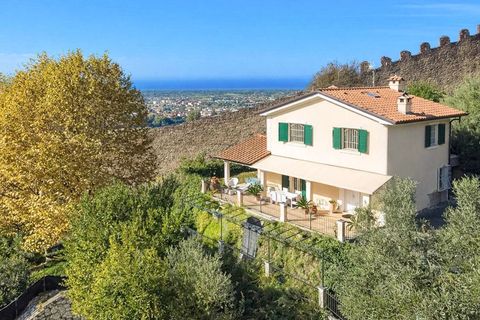 Villa i Pietrasanta, Lucca, Pietrasanta - € 2.500.000 | Ref: ILV93241-1408262 - foto 2