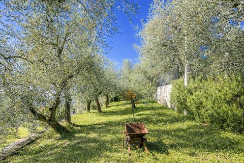 Villa i Pietrasanta, Lucca, Pietrasanta - € 2.500.000 | Ref: ILV93241-1408262 - foto 8
