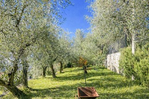 Villa i Pietrasanta, Lucca, Pietrasanta - € 2.500.000 | Ref: ILV93241-1408262 - foto 36