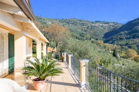 Villa i Pietrasanta, Lucca, Pietrasanta - € 2.500.000 | Ref: ILV93241-1408262 - foto 40