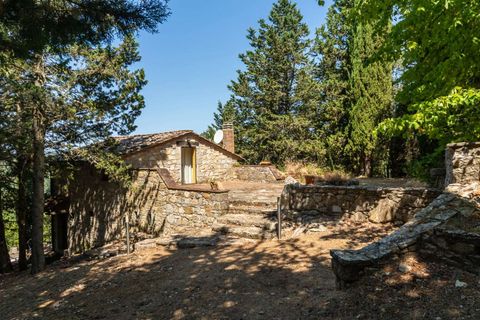 Villa a Siena, Siena, Siena - € 1.950.000 | Ref: ILV93262-1408334 - foto 12