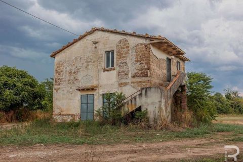 Farm hus i Scansano, Grosseto, Scansano - € 275.000 | Ref: R054793SCCA-1408506 - foto 3