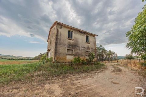 Farm hus i Scansano, Grosseto, Scansano - € 275.000 | Ref: R054793SCCA-1408506 - foto 4