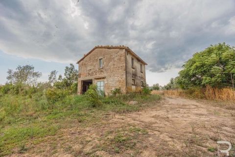 Farm hus i Scansano, Grosseto, Scansano - € 275.000 | Ref: R054793SCCA-1408506 - foto 5