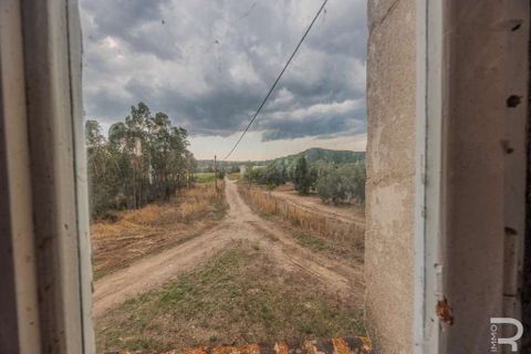 Farm hus i Scansano, Grosseto, Scansano - € 275.000 | Ref: R054793SCCA-1408506 - foto 13