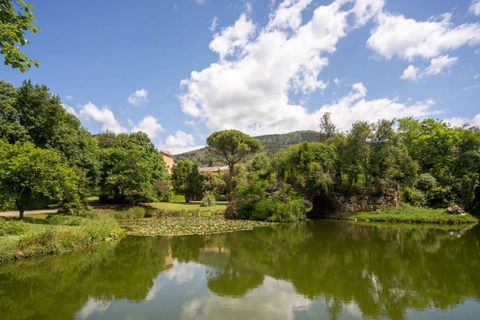 Villa - Florence, Florence, Florence - € 6 000 000 | Réf : ILV93244-1408654 - photo 10