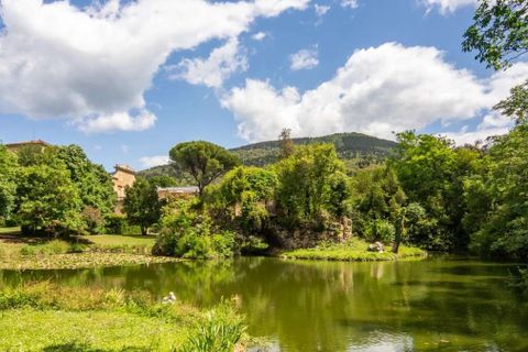 Villa - Florence, Florence, Florence - € 6 000 000 | Réf : ILV93244-1408654 - photo 35