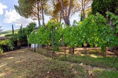 Villa a Arezzo, Arezzo, Arezzo - € 629.000 | Ref: ILV93287-1409193 - foto 47