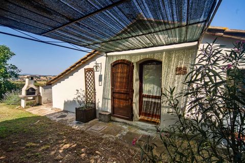 Villa i Scansano, Grosseto, Scansano - € 1 790 000 | Ref: ILV93267-1409412 - foto 29