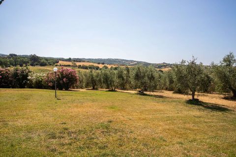 Villa i Scansano, Grosseto, Scansano - € 1 790 000 | Ref: ILV93267-1409412 - foto 31