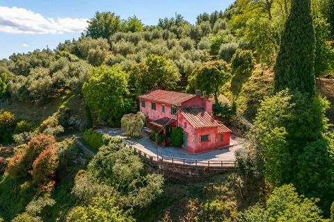 Villa in Uzzano, Pistoia, Uzzano - € 775.000 | Ref: ILV93281-1409463 - foto 2