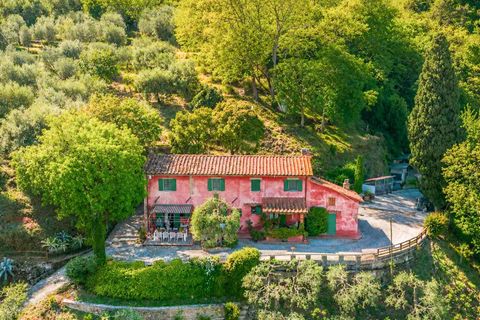 Villa in Uzzano, Pistoia, Uzzano - € 775.000 | Ref: ILV93281-1409463 - foto 35