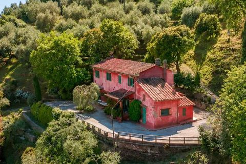 Villa in Uzzano, Pistoia, Uzzano - € 775.000 | Ref: ILV93281-1409463 - foto 36