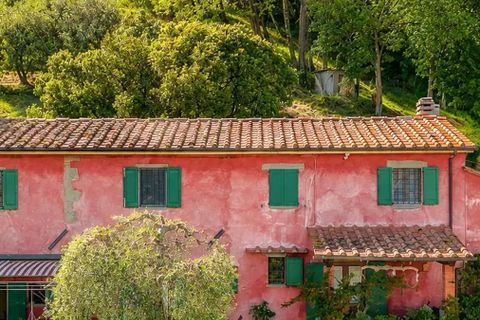 Villa in Uzzano, Pistoia, Uzzano - € 775.000 | Ref: ILV93281-1409463 - foto 46
