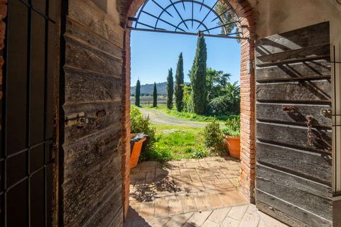 Villa i Grosseto, Grosseto, Grosseto - € 1 250 000 | Ref: ILV93275-1409616 - foto 5
