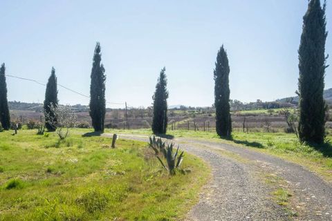 Villa i Grosseto, Grosseto, Grosseto - € 1 250 000 | Ref: ILV93275-1409616 - foto 47