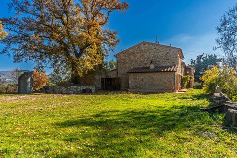 Villa i Monterotondo Marittimo, Grosseto, Monterotondo Marittimo - € 860.000 | Ref: ILV93284-1409871 - foto 3