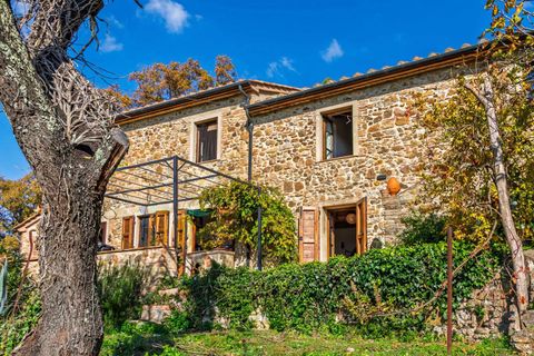 Villa i Monterotondo Marittimo, Grosseto, Monterotondo Marittimo - € 860.000 | Ref: ILV93284-1409871 - foto 37