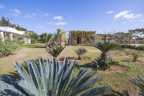 Villa i Monteroni di Lecce, Lecce, Monteroni di Lecce - € 850.000 | Ref: ILV92177-1410015 - foto 3