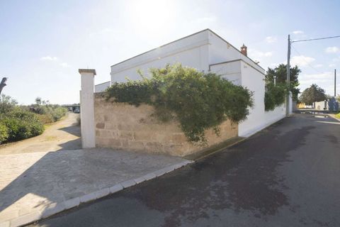 Villa i Monteroni di Lecce, Lecce, Monteroni di Lecce - € 850.000 | Ref: ILV92177-1410015 - foto 25