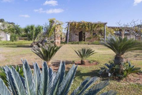 Villa i Monteroni di Lecce, Lecce, Monteroni di Lecce - € 850.000 | Ref: ILV92177-1410015 - foto 27
