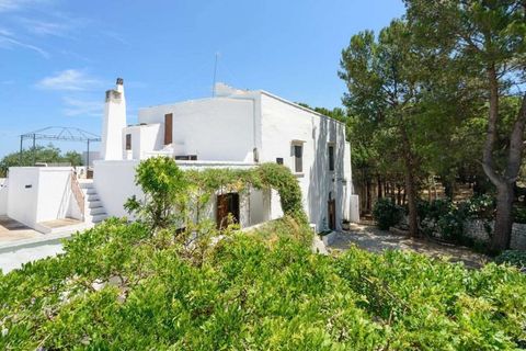 Farm hus i Conversano, Bari, Conversano - € 1.350.000 | Ref: ILV91804-1410618 - foto 12