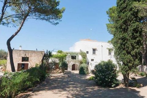 Farm hus i Conversano, Bari, Conversano - € 1.350.000 | Ref: ILV91804-1410618 - foto 25