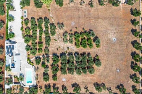 Farm i Ostuni, Brindisi, Ostuni - € 750.000 | Ref: ILV91582-1410846 - foto 8