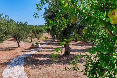 Farm i Ostuni, Brindisi, Ostuni - € 750.000 | Ref: ILV91582-1410846 - foto 12
