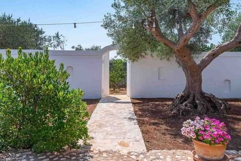 Farm i Ostuni, Brindisi, Ostuni - € 750.000 | Ref: ILV91582-1410846 - foto 16