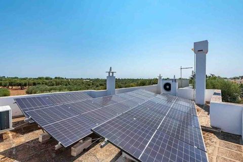 Farm i Ostuni, Brindisi, Ostuni - € 750.000 | Ref: ILV91582-1410846 - foto 18