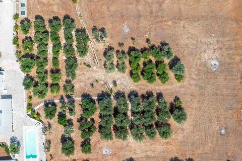 Farm i Ostuni, Brindisi, Ostuni - € 750.000 | Ref: ILV91582-1410846 - foto 37