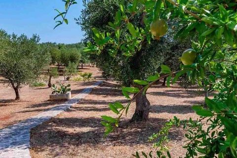 Farm i Ostuni, Brindisi, Ostuni - € 750.000 | Ref: ILV91582-1410846 - foto 41