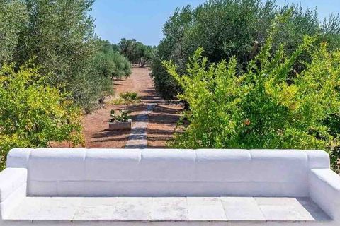 Farm i Ostuni, Brindisi, Ostuni - € 750.000 | Ref: ILV91582-1410846 - foto 46
