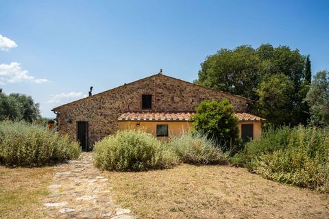 Villa a Campagnatico, Grosseto, Campagnatico - € 1.990.000 | Ref: ILV93271-1411845 - foto 6