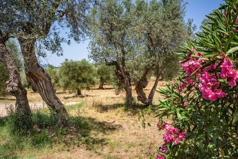 Villa a Campagnatico, Grosseto, Campagnatico - € 1.990.000 | Ref: ILV93271-1411845 - foto 21