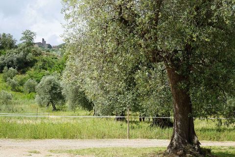 Villa a Campagnatico, Grosseto, Campagnatico - € 1.990.000 | Ref: ILV93271-1411845 - foto 35