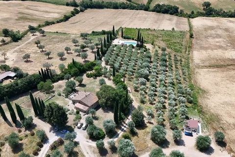Villa a Campagnatico, Grosseto, Campagnatico - € 1.990.000 | Ref: ILV93271-1411845 - foto 36