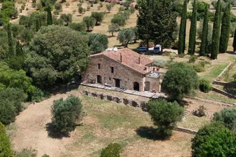 Villa a Campagnatico, Grosseto, Campagnatico - € 1.990.000 | Ref: ILV93271-1411845 - foto 37
