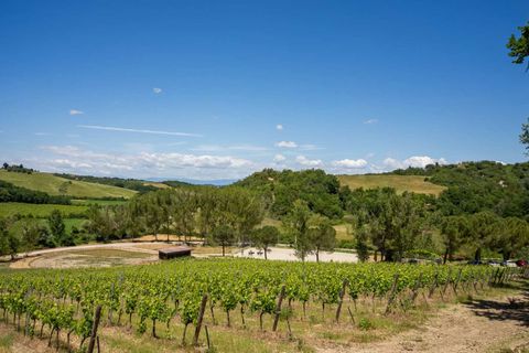 Villa a Montespertoli, Florence, Montespertoli - € 1.850.000 | Ref: ILV93272-1412036 - foto 7