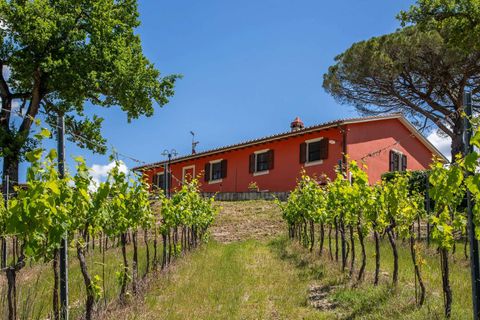 Villa a Montespertoli, Florence, Montespertoli - € 1.850.000 | Ref: ILV93272-1412036 - foto 9