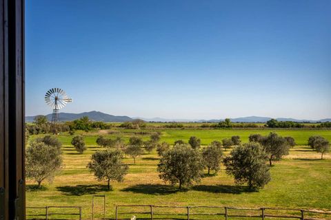 Masia a Grosseto, Grosseto, Grosseto - € 1.600.000 | Ref: ILV93273-1412087 - foto 12