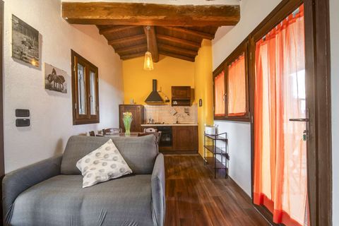 Masia a Grosseto, Grosseto, Grosseto - € 1.600.000 | Ref: ILV93273-1412087 - foto 30
