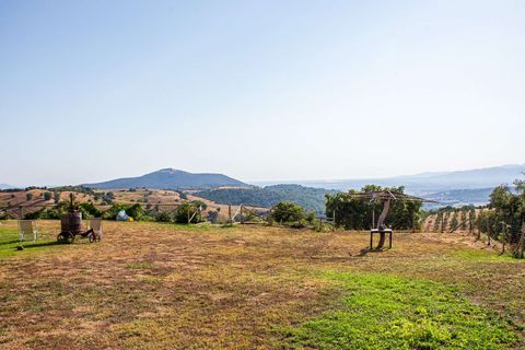 Villa a Campagnatico, Grosseto, Campagnatico - € 1.980.000 | Ref: ILV93278-1412318 - foto 3