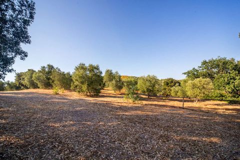 Villa a Campagnatico, Grosseto, Campagnatico - € 1.980.000 | Ref: ILV93278-1412318 - foto 9