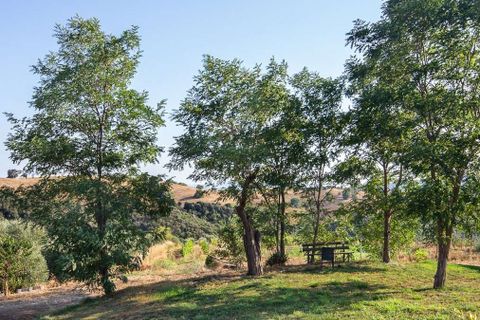 Villa a Campagnatico, Grosseto, Campagnatico - € 1.980.000 | Ref: ILV93278-1412318 - foto 50